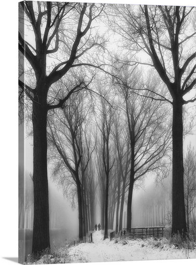 Reproduction de photo sur toile, "winter vient" par yvette depaepe