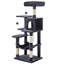 143cm H Cat Tree-65929857-100556301