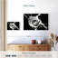 Harnek Rose Splash-107509067