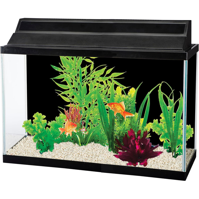 Double-arrière fond d'aquarium Roll-A-Scene