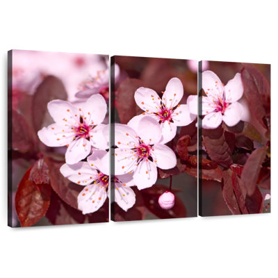 Fleurs de cerisier japonais Harnek