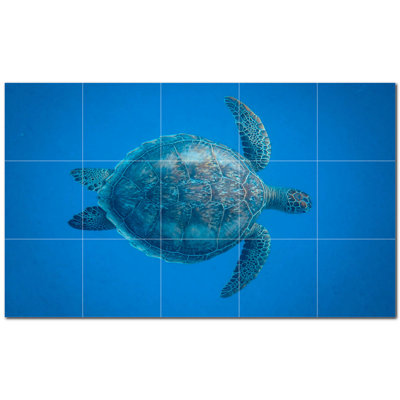 Tortue photo 6 x 6