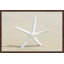 Sharon Kalstek - Single Picture Frame Print-20661502