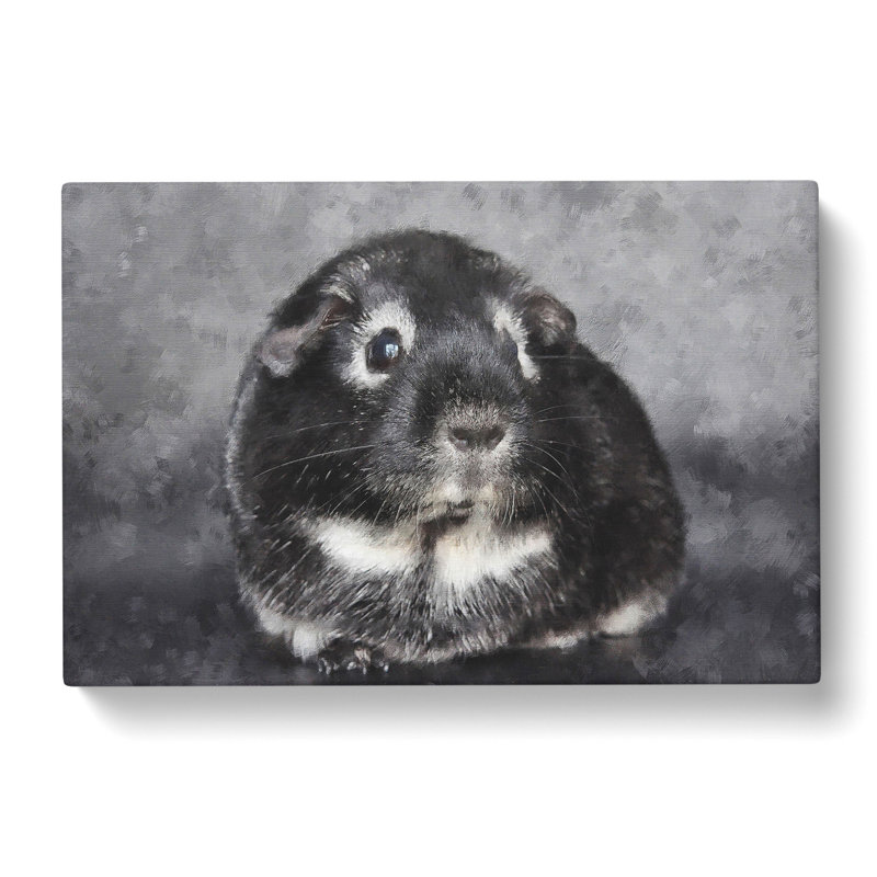 Guinea Pig - Wrapped Canvas, 35cm H x 50cm W x 3cm D
