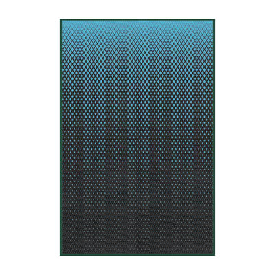 Indoor Rug