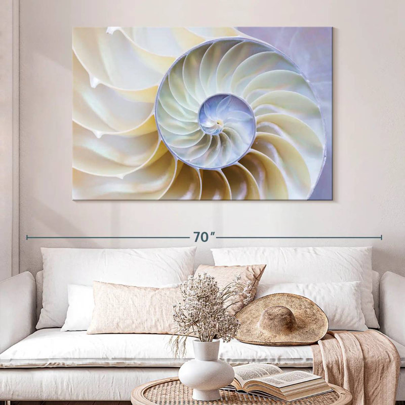 Empty Nautilus Shell, 34" H x 51" W