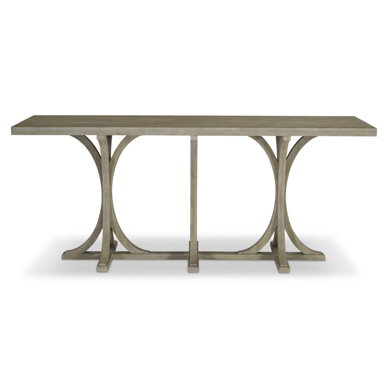 Albion Transitional Gray Wood Console Table with Storage