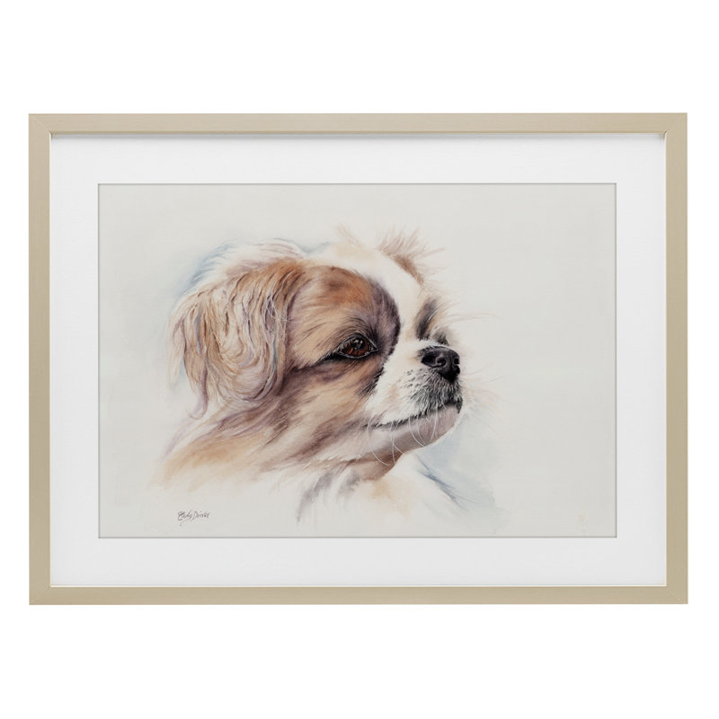 «Expressive Dog Face», reproduction encadrée sous verre, conception de Cady, Cadre de récolte en pin, H 14 po x l 20 po