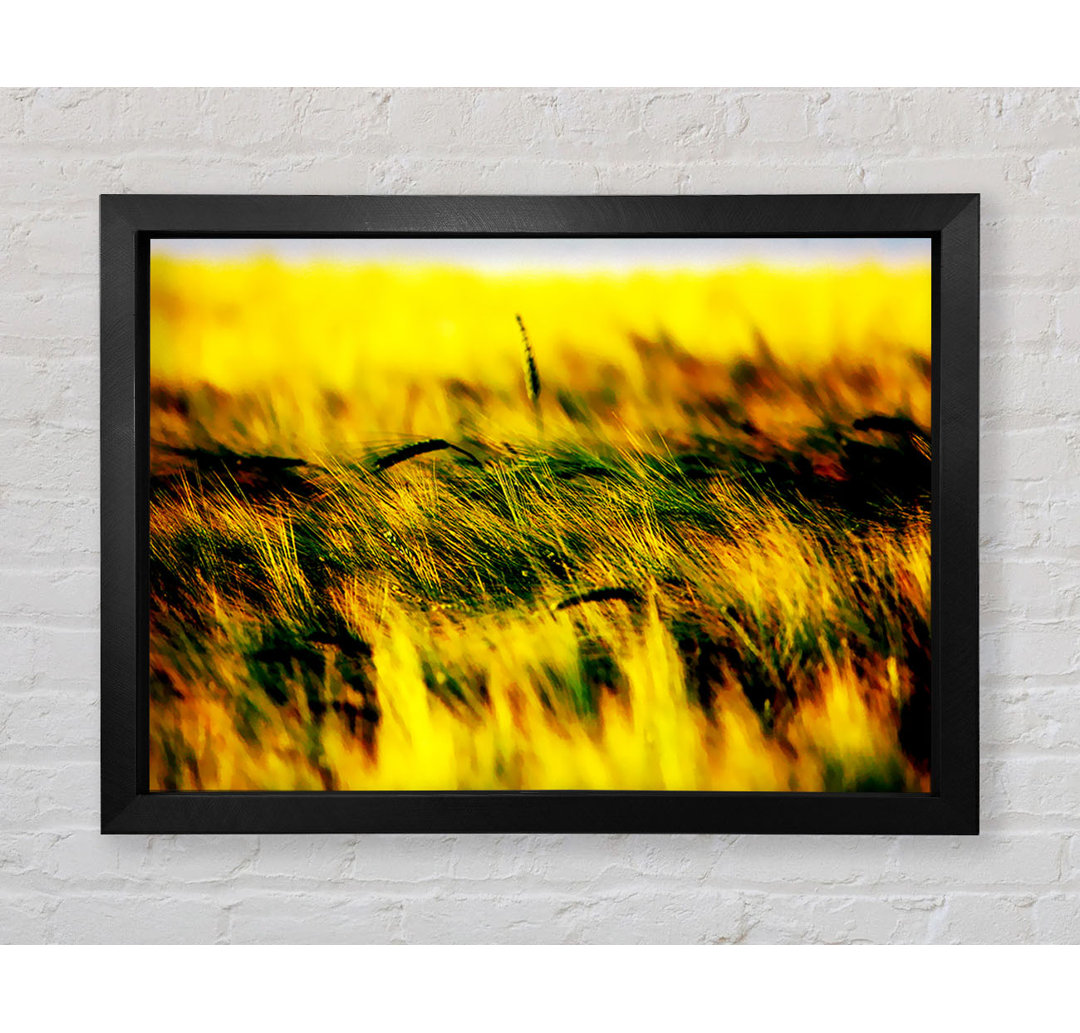 Gerahmtes Wandbild Wheatfield Yellow