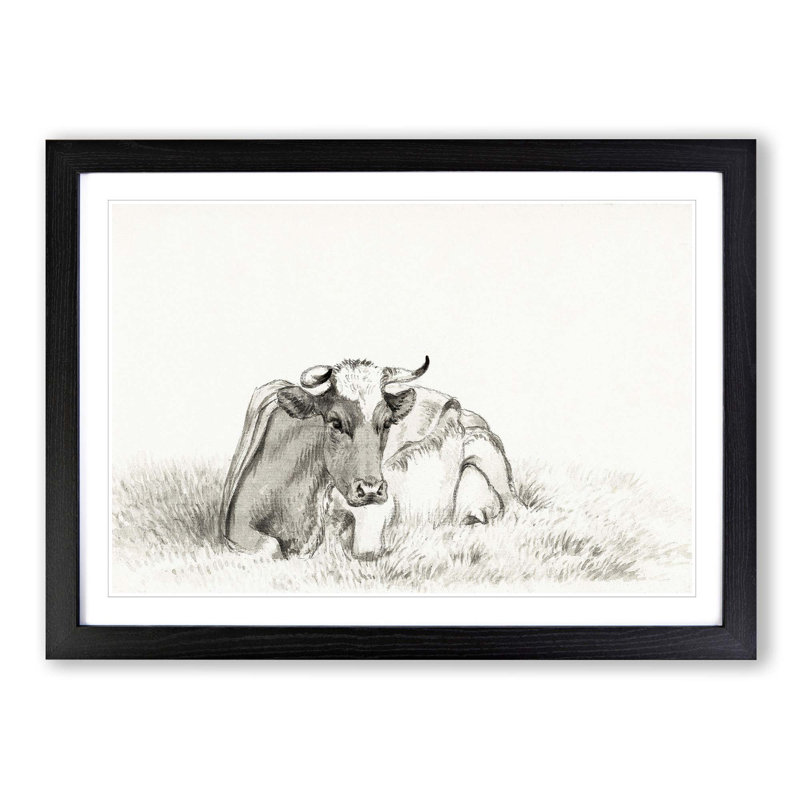 Peaceful Cow by Jean Bernard - Picture Frame Drawing Print, 36cm H x 48cm W x 2cm D, Black Framed