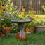 Baignoire pour oiseaux autoportante en céramique avec finition résistante aux rayons UV - rose cendré Leominster-1078098848