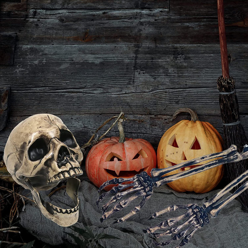 Squelette d'Halloween