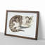 Cat by Johan Teyler - Framed Print-55621427-55621428