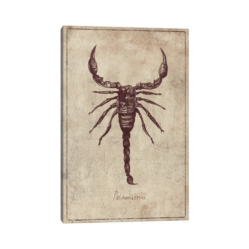 Palamnaersus by Mike Koubou - Wrapped Canvas Print, 20.32 cm H x 30.48 cm W