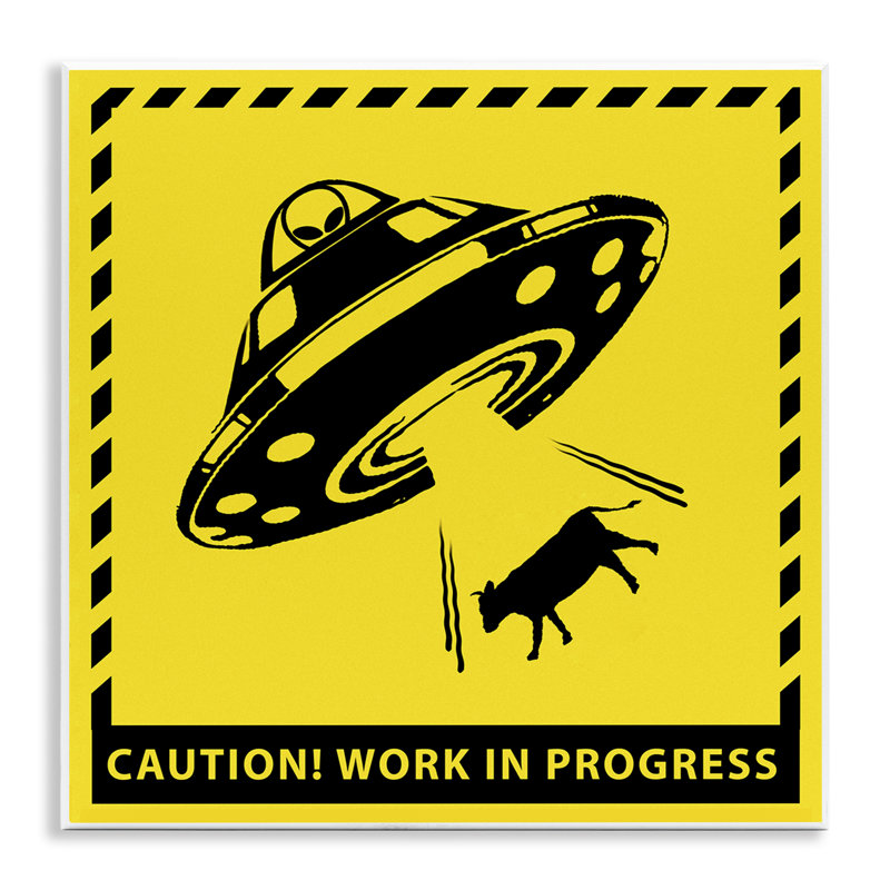 OVNI "Work In Progress" par Ziwei Li