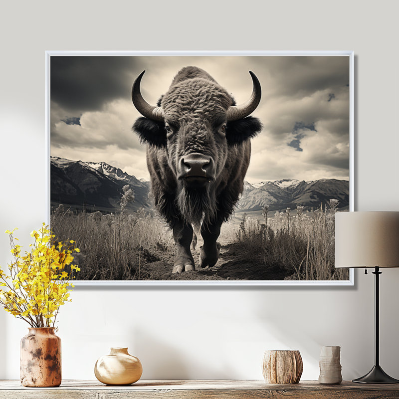 Bison Majestic Bison Framed On Canvas Print, 30" H x 40" W x 1.5" D, White Floater Framed