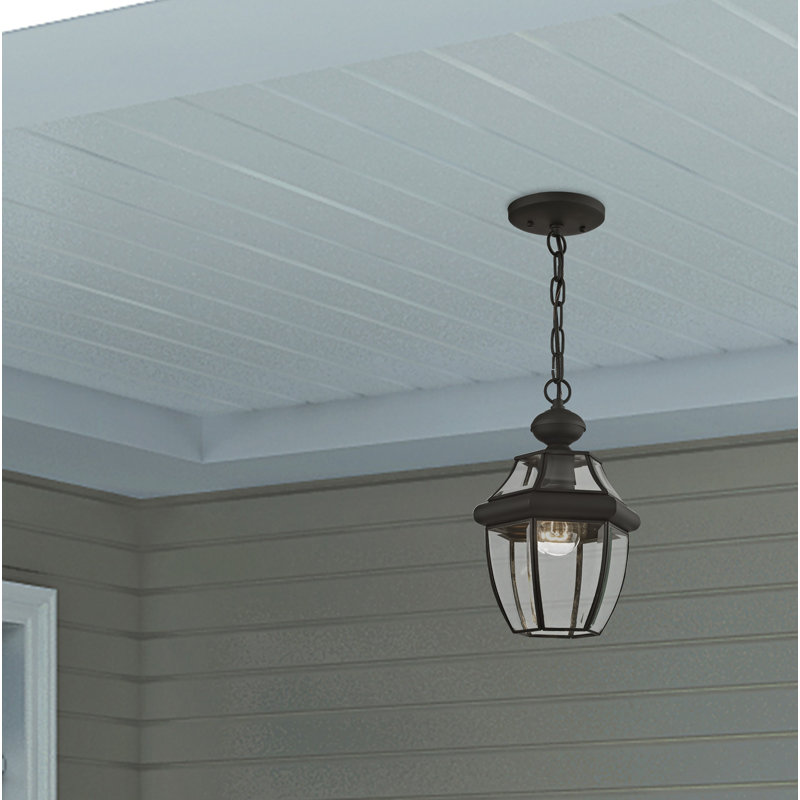 Lanterne suspendue d'extérieur 1 lumière H 10,75 po Alexavier, Noir, noir, noir, noir