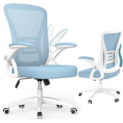 Ergonomic Mesh Office Chair