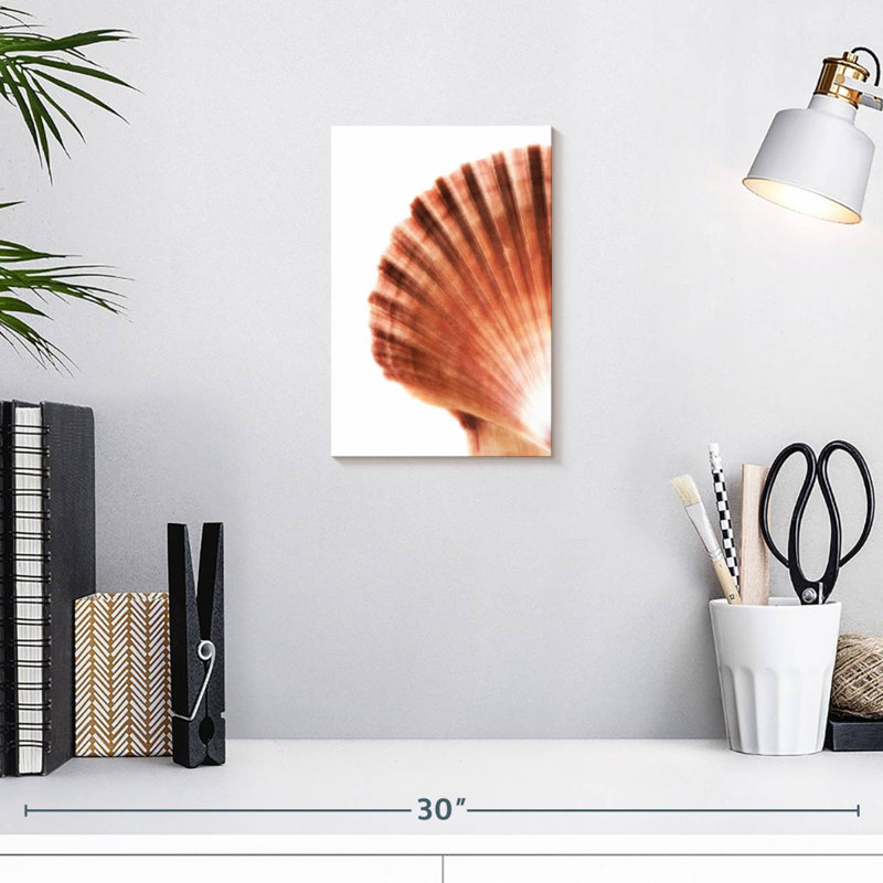Scallop seashell ii Aletra, H 12 po x l 8 po
