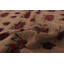 Tapis de la surface en laine 7 pi 3 po x 9 pi 7 po one-of-kind à la main-noué la 2010 baluch Yadkinville