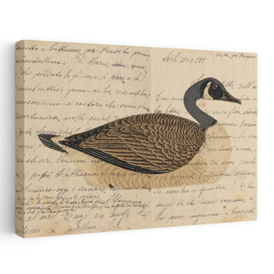 Canada Goose, oiseau rétro, art animalier