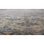 Antique One-of-a-Kind Rectangle 4'5" x 7'3" Hand Knotted Area Rug