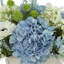 Hydrangeas, Viburnum and Astilbe Arranged in Ceramic Vase