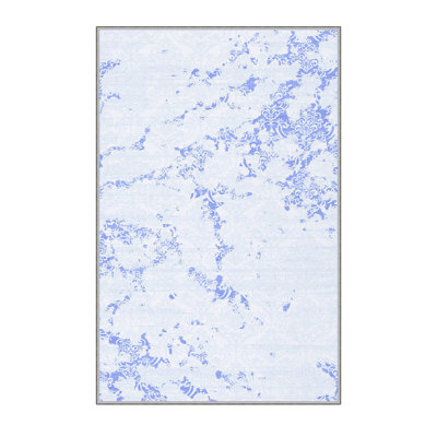 Premium Hall Carpet, 2.6 x 6.6 Feet, 100% Polyester, 0.3 in Pile Height | Antibacterial, Non-Slip Underside, Machine Washable | 3D Digital Print Design, Durable & Stylish for Entryways, Living Rooms & More