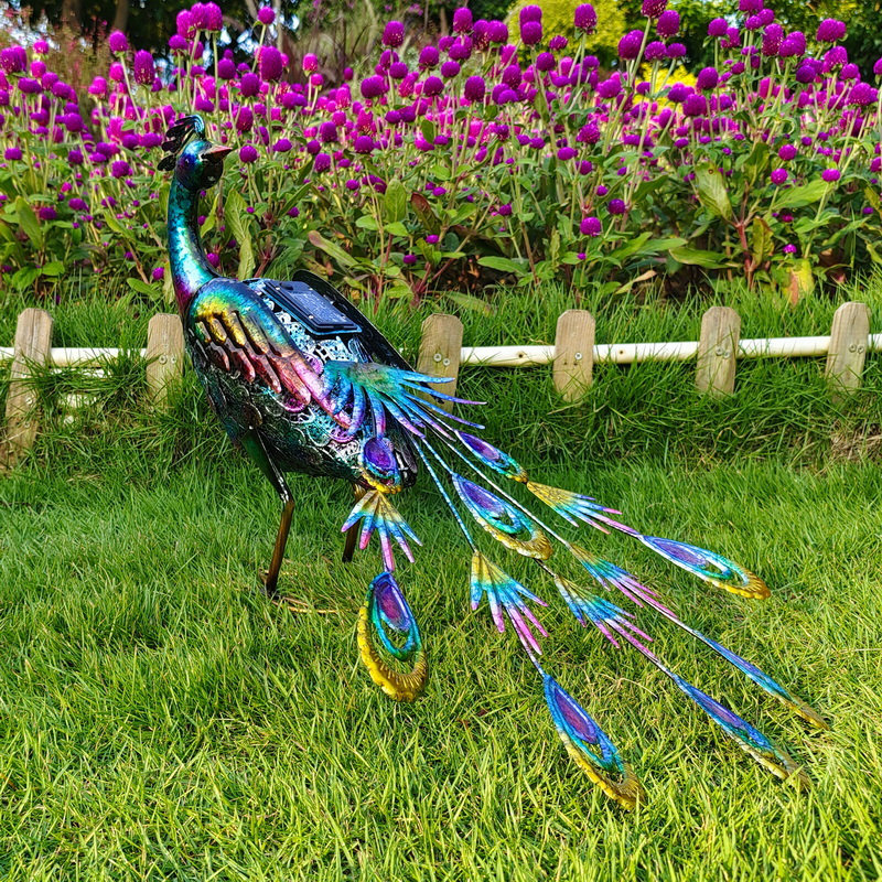 22" Peacock with Light