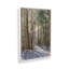 «Light Through the Trees» par Stephen Calcasola, reproduction d'art-249418781-249418780