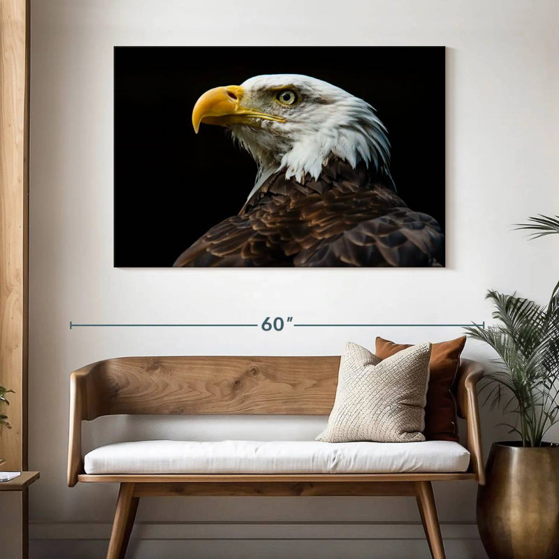 Brampt Bald Eagle Fierce Gaze