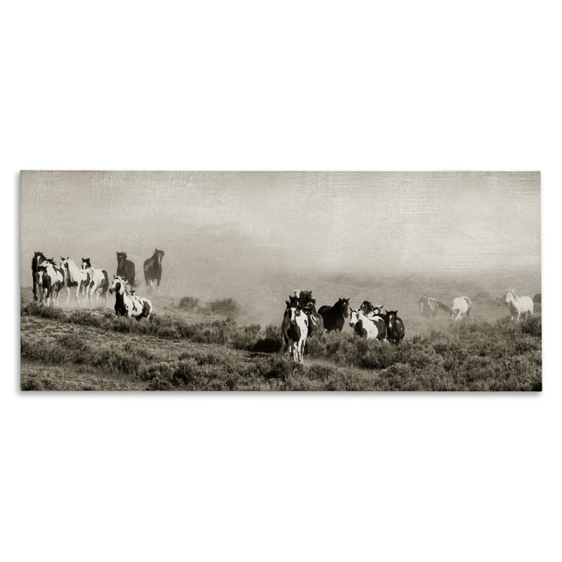 Toile «Dust Up Horse Stampede», conception par Danita Delimont, H 10 po x l 24 po