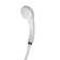 Full/Standard Handheld Shower Head