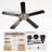 Kallaway 52'' Ceiling Fan