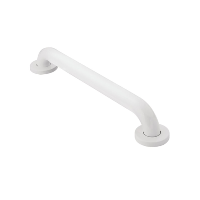 24" Grab Bar, Stainless