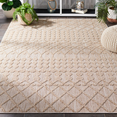 Paradigm Performance Southwestern Indoor/Outdoor Area Rug