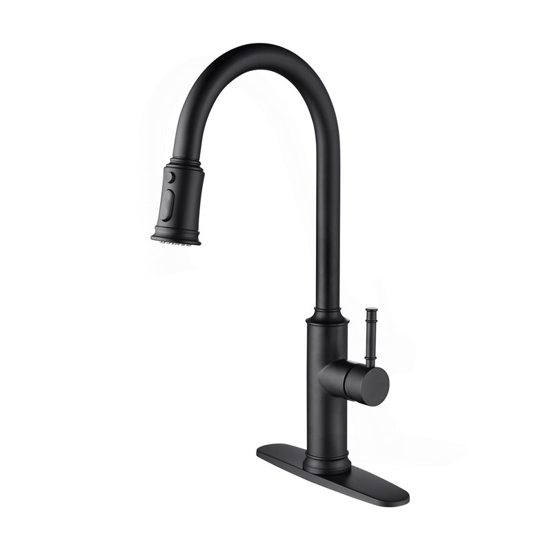 Robinet de cuisine avec douchette extractible, Matte Black