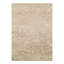 Oriental Area Rug in Brown