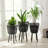Corette Raised Wicker and Bamboo Planters (Set of 2)-1598650352-1598650364-1576059813