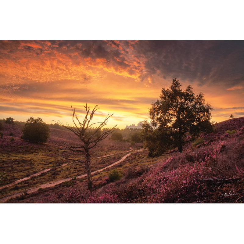Arbre mort au coucher du soleil, H 8 po x l 12 po, Non, Toile tendue