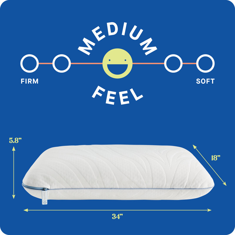 Sealy Dreamlife Memory Foam Medium Pillow, 1, King