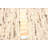 Sienna Beige Rug 5'7" x 7'9"