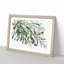 The Olive Branch - Framed Print-55611684-55611685