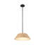 1-Light 15.7" Wide Modern Scandinavian-Style Wood-Like Pendant Lamp with Lamp Shade diffuser-300552584