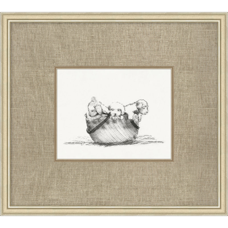 Canine Heirloom 4