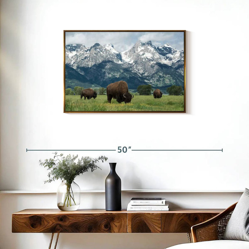 Grand Teton American Buffalo Herd, Cadre flottant doré, 31 po x 21 po