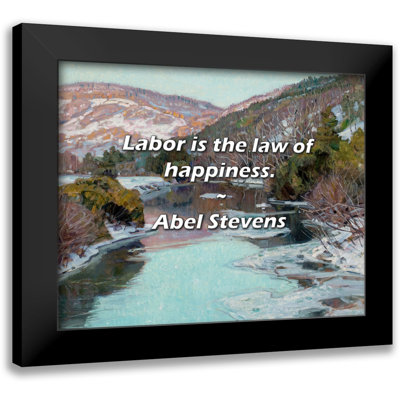 Abel Stevens Quote: Labor is the law of happiness.