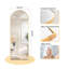 Aluminium Arch Mirror-236811280-236811282