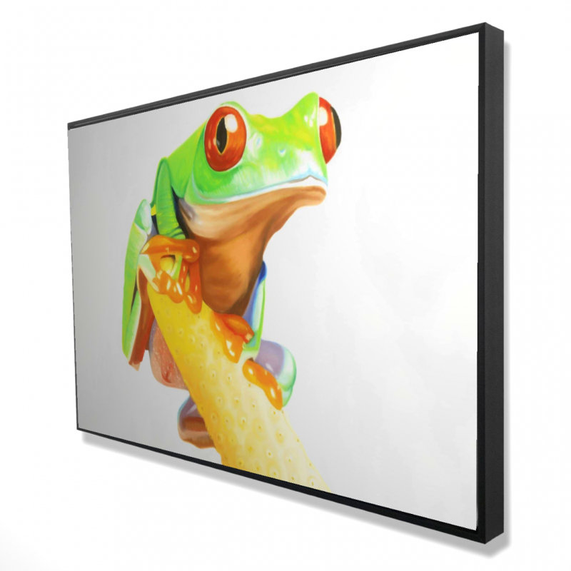 Curious Red Eyed Frog Print On Canvas, 24" H x 36" W
