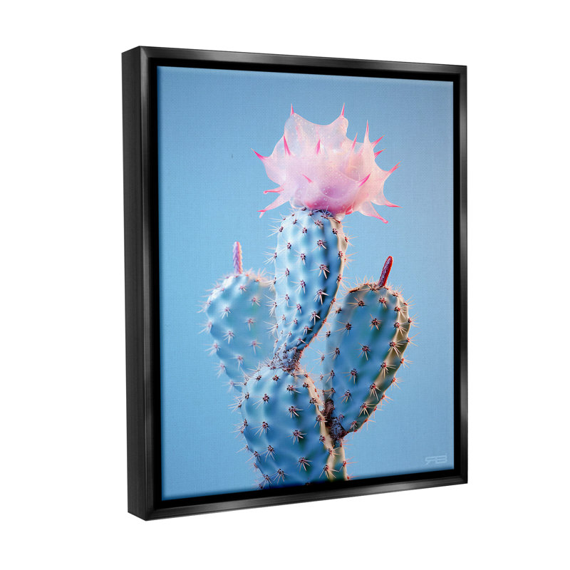 «Pink Budding Cactus Flowers» par RB sur, Cadre flottant noir de jais, H 31 po x l 25 po